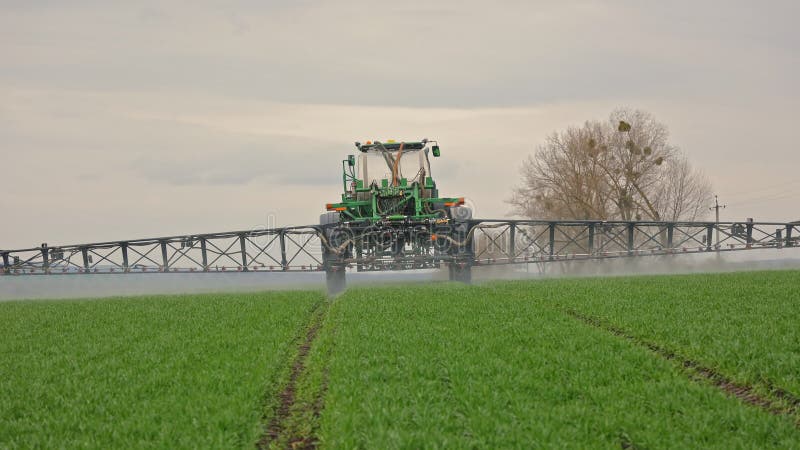 Pulvérisateur auto-propulsé aller de l'avant à travers le champ de culture Machines agricoles pulvériser l'engrais sur le jeune ve banque de vidéos