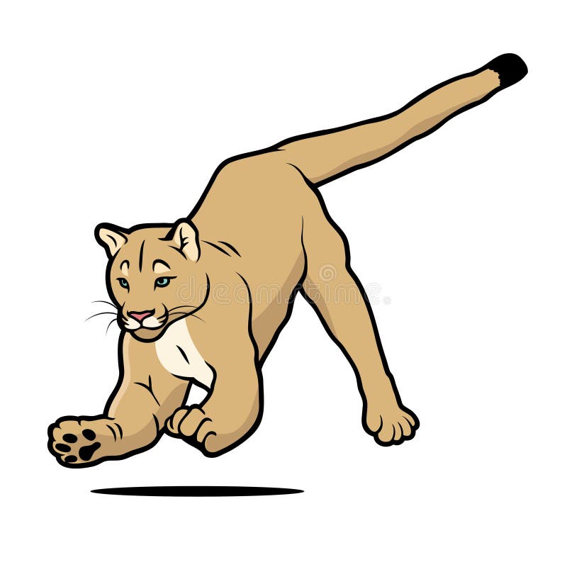un puma dessin