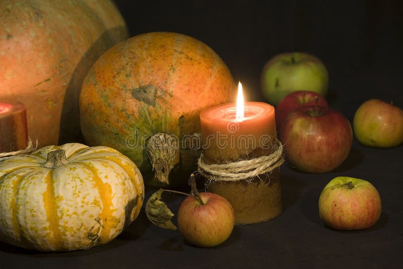Pumkins arkivfoto Pumkins arkivfoto