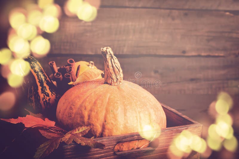 Pumpacloseup Autumn Bokeh tänder bakgrund Tacksägelse- eller allhelgonaaftonbegrepp, kopieringsutrymme royaltyfri bild Pumpacloseup Autumn Bokeh tänder bakgrund Tacksägelse- eller allhelgonaaftonbegrepp, kopieringsutrymme royaltyfri bild