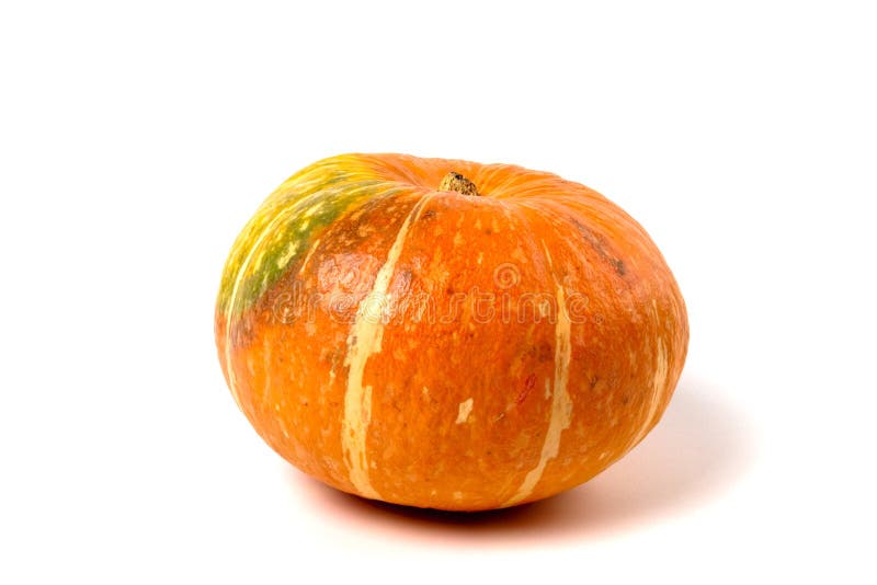 Pumpkin