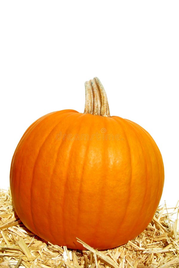 pumpkin royaltyfri fotografi pumpkin royaltyfri fotografi