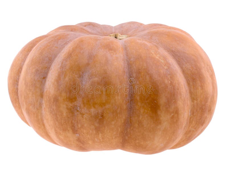 Pumpkin royalty free stock photo