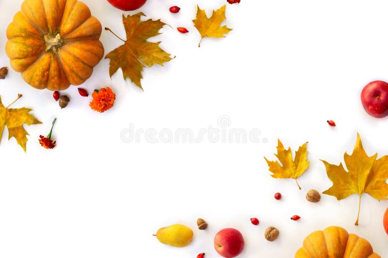 Pumpkin, acorns, red berries, red apples, yellow pear and autumnal colorful maple leaves on a white background. Top view, flat lay