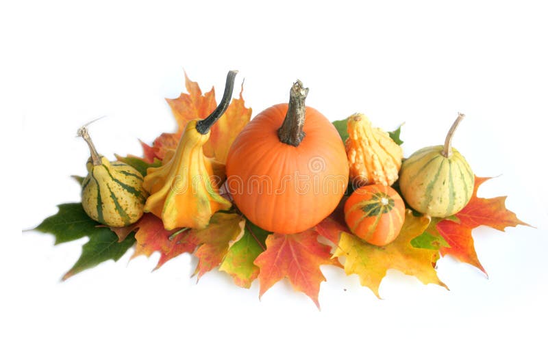 Pumpkin Arrangement