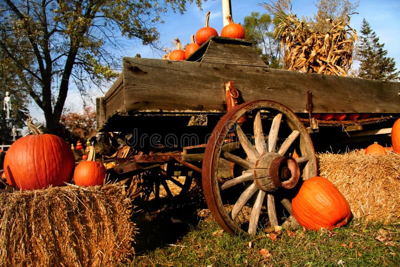 Pumpkin arrangement for sale