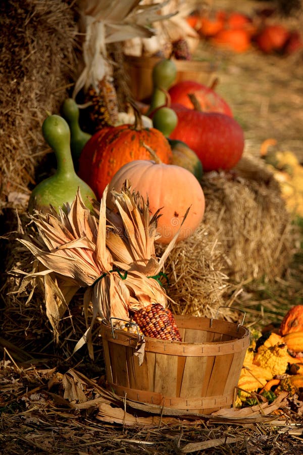 Pumpkin arrangement for sale