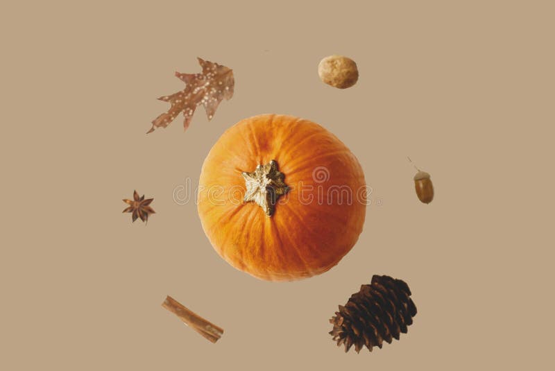 Hello Autumn. Pumpkin, autumn leaf, anise, pine cone, acorn, walnut and cinnamon stick  on awkwardly painted brown background. Creative modern autumnal greeting card. Hello Autumn. Pumpkin, autumn leaf, anise, pine cone, acorn, walnut and cinnamon stick  on awkwardly painted brown background. Creative modern autumnal greeting card