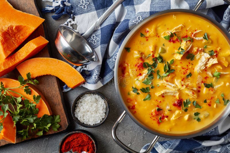 Pumpkin carrot chicken breast creamy soup royalty free stock image Pumpkin carrot chicken breast creamy soup royalty free stock image
