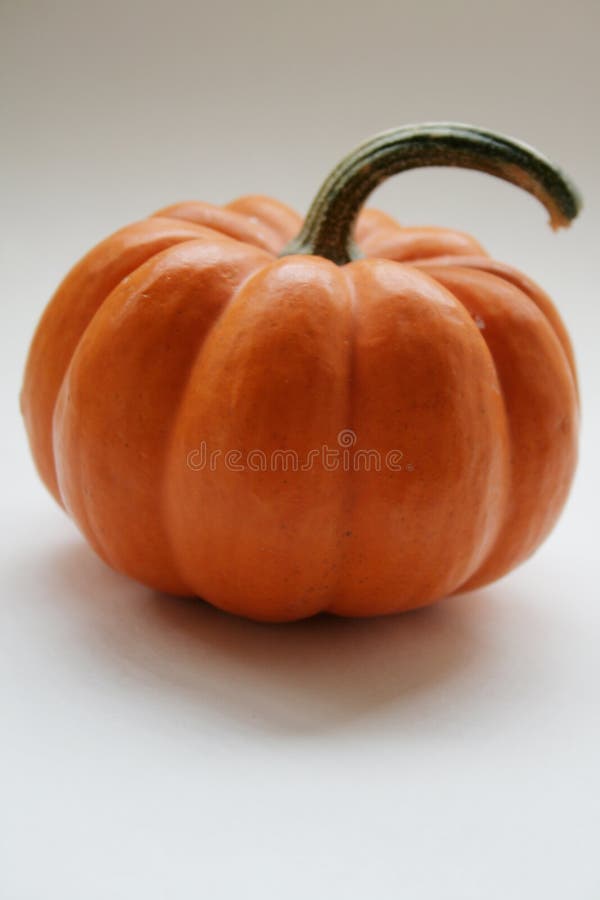 Pumpkin Close Up