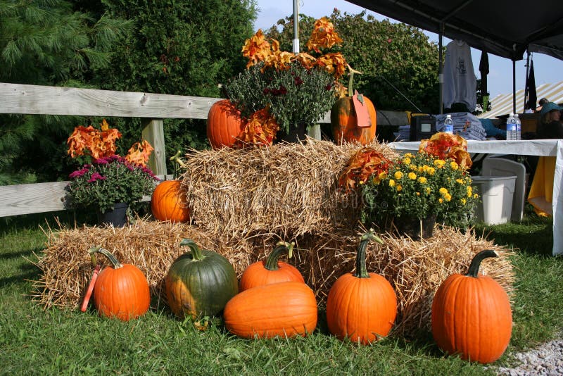 A Pumpkin Display At A Fall Festival Stock Image - Image: 1262793