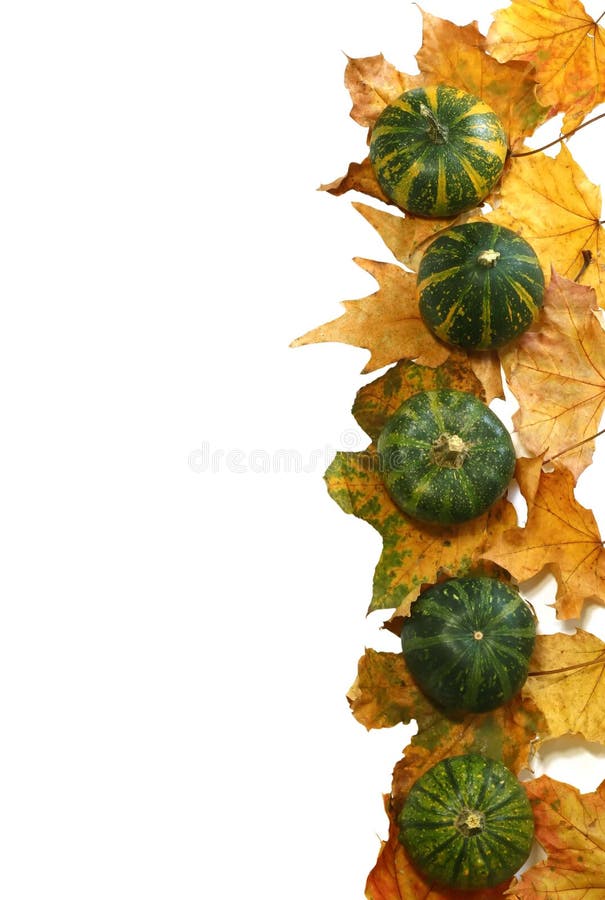 pumpkin and dry autumn leafs isolated on white background