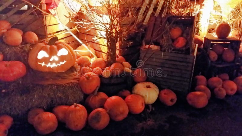 Pumpkin family at the market royalty free stock photography Pumpkin family at the market royalty free stock photography