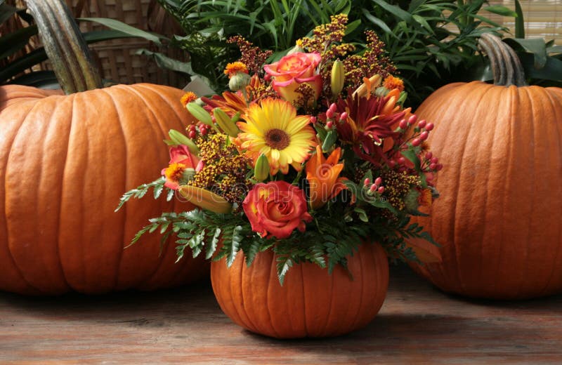 Pumpkin floral stock photo. Image of floral, fern, harvest - 8008988