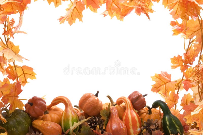 Pumpkin and gourds with leaves