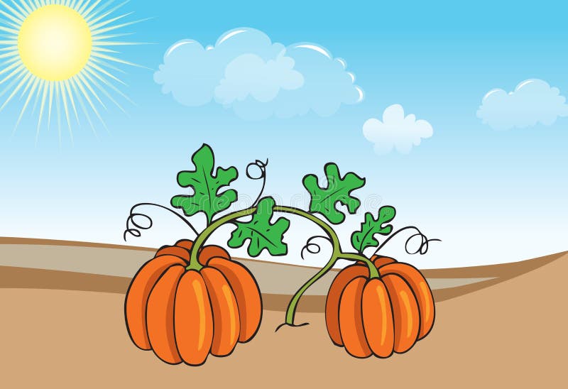 Pumpkin Greenhouse Stock Illustrations – 157 Pumpkin Greenhouse Stock  Illustrations, Vectors & Clipart - Dreamstime