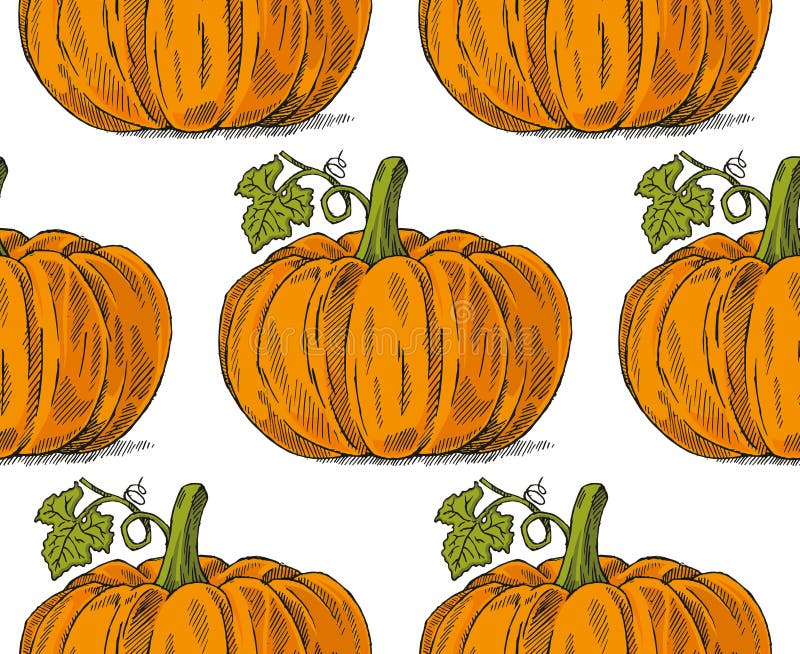 Pumpkin stock illustration Pumpkin stock illustration