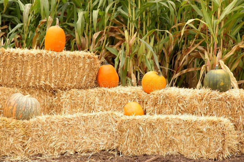 Pumpkin and hay stack no.2