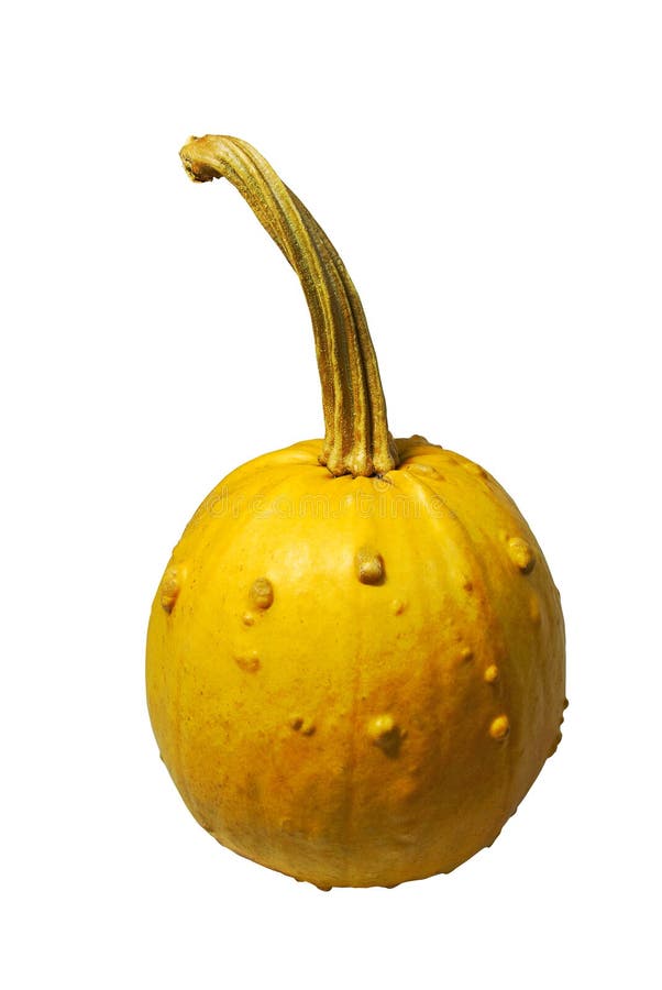 Pumpkin isolated with stem