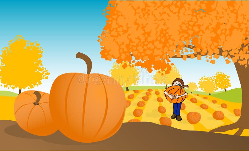 Pumpkin Patch stock vector. Illustration of october, male - 10927346