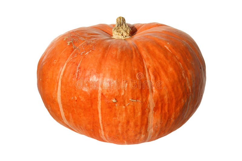 Pumpkin with peduncle