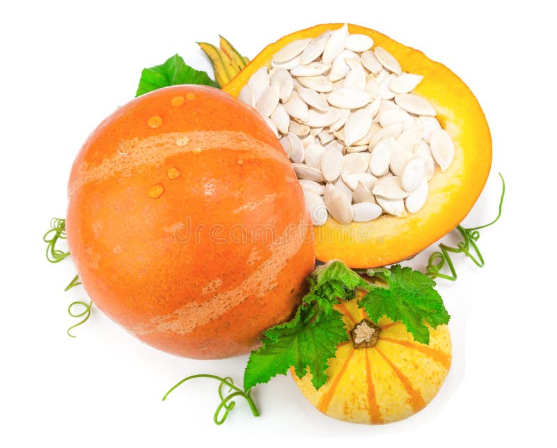 Pumpkin with Pumpkin Seeds and Green Leaves Stock Image Image of