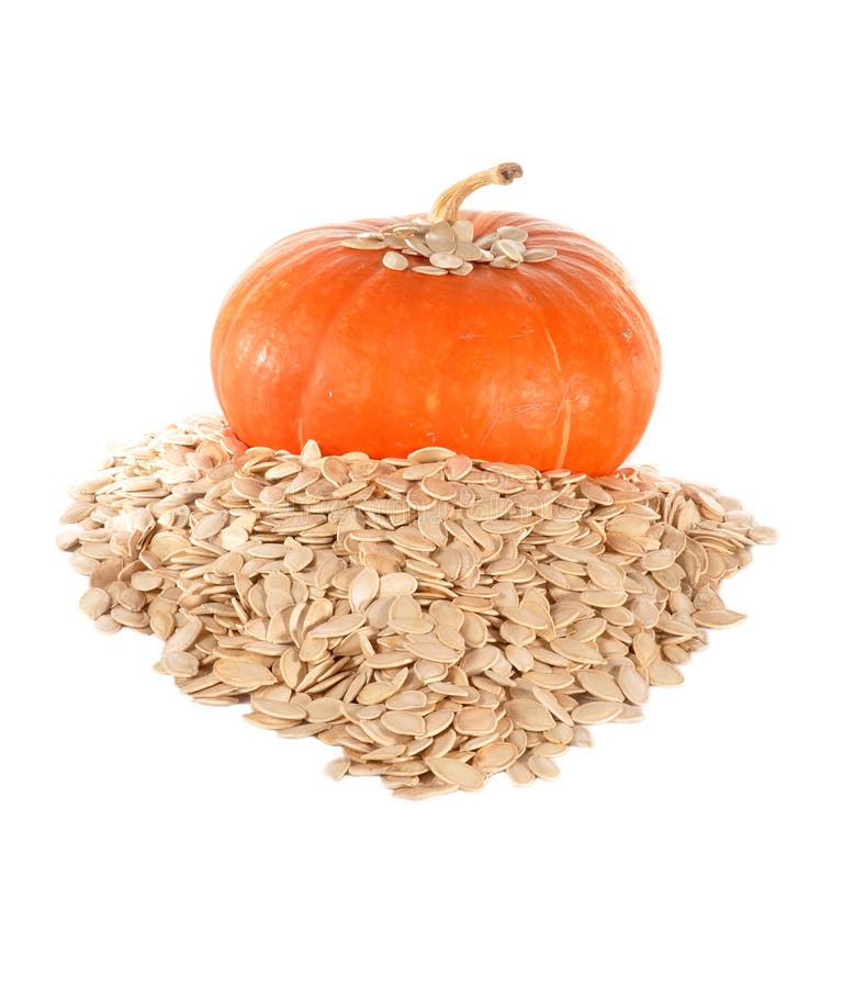 The Pumpkin and Pumpkin Sunflower Seeds L Stock Photo Image of orange