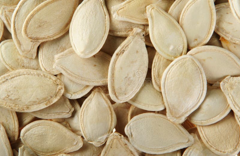 Pumpkin seed detail stock image