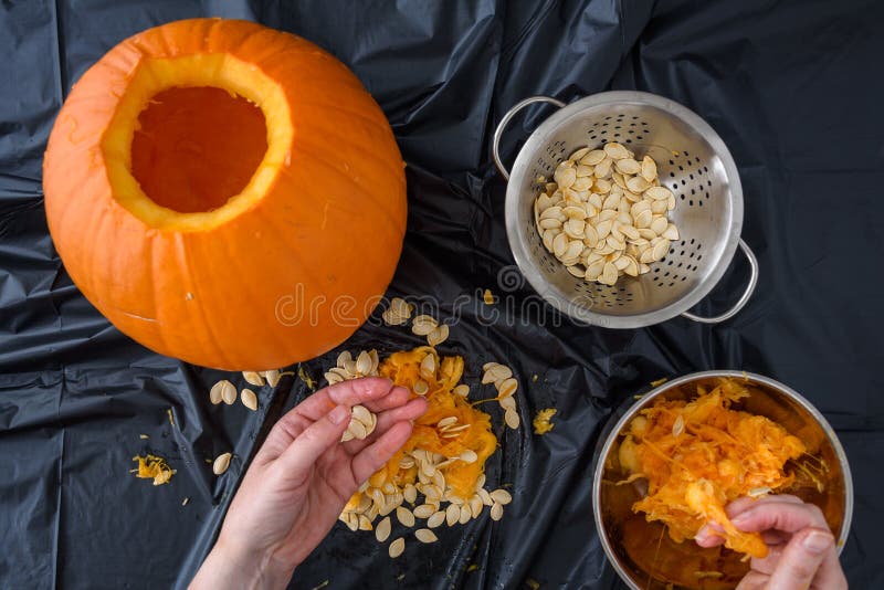 Pumpkin Seed Harvesting, Woman’s Hands Sorting Seeds and Pumpkin Guts Stock Image Image of