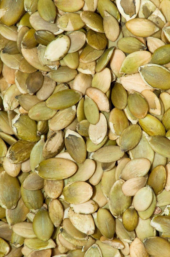 Pumpkin Seeds stock image. Image of seeds, closeup, dried 19003343