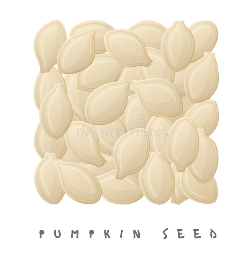 Pumpkin Seeds Square Icon. Cartoon Style Vector Illustration Isolated