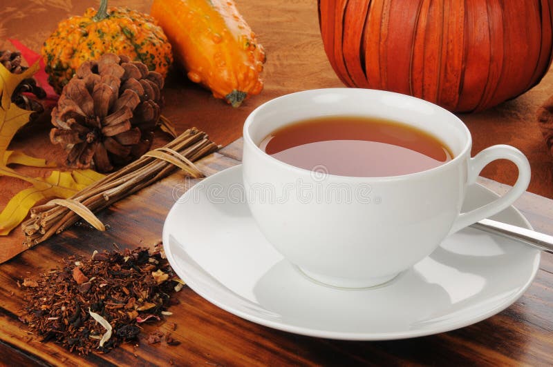 Pumpkin spice rooibos tea stock image. Image of beverage 28116663