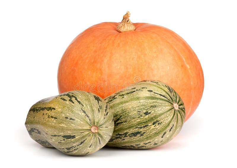 Pumpkin and Squash stock image. Image of squash, ground 34139363