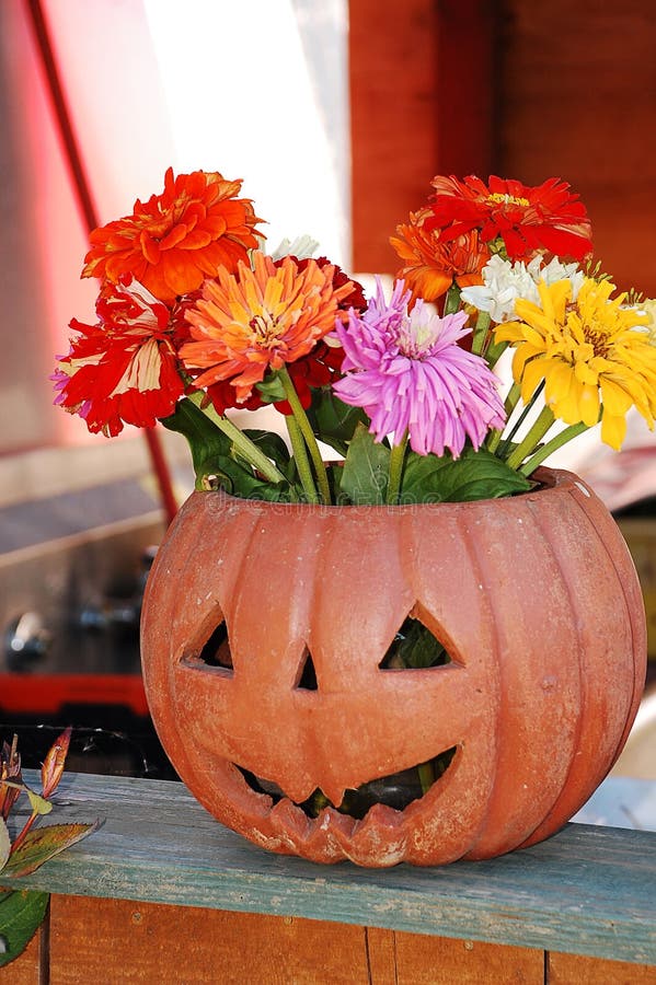 Pumpkin vase with flowers stock photo. Image of colorful - 11083350
