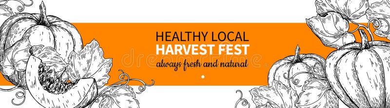 Pumpkin vector banner. Hand drawn vintage Harvest festival frame. Farm Market sketch royalty free illustration Pumpkin vector banner. Hand drawn vintage Harvest festival frame. Farm Market sketch royalty free illustration