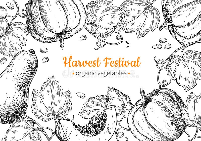 Pumpkin vector frame. Hand drawn vintage Harvest festival illustration. Farm Market sketch vector illustration Pumpkin vector frame. Hand drawn vintage Harvest festival illustration. Farm Market sketch vector illustration