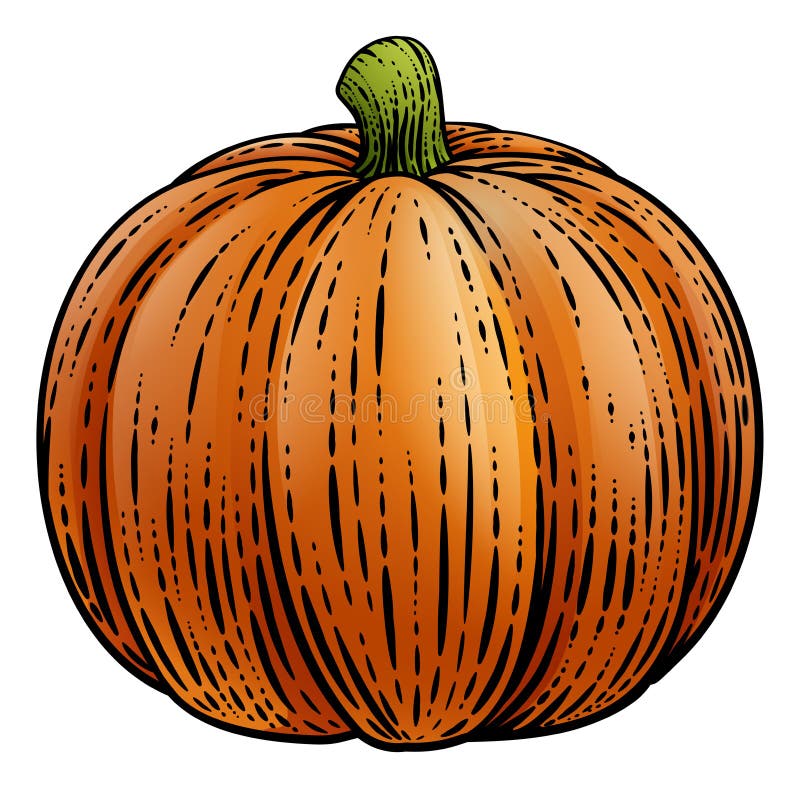 Zucca verdura illustrazioni antico xilografia acquaforte stile.