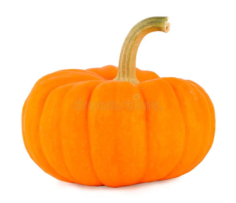 Pumpkin on a white background