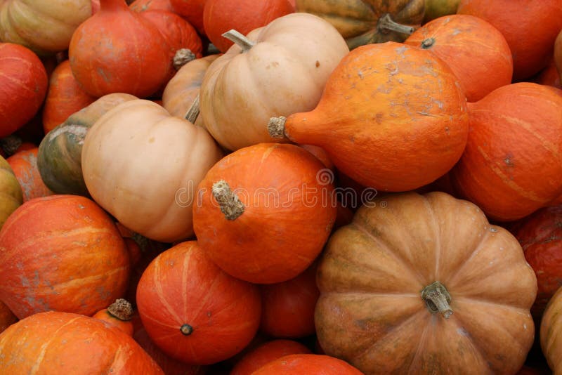 Pumpkins