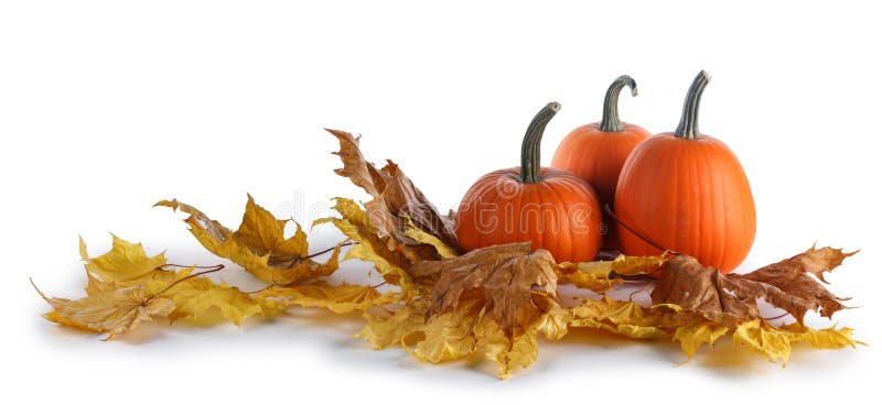 Pumpkins and autumn leaves stock image. Image of group - 160340379