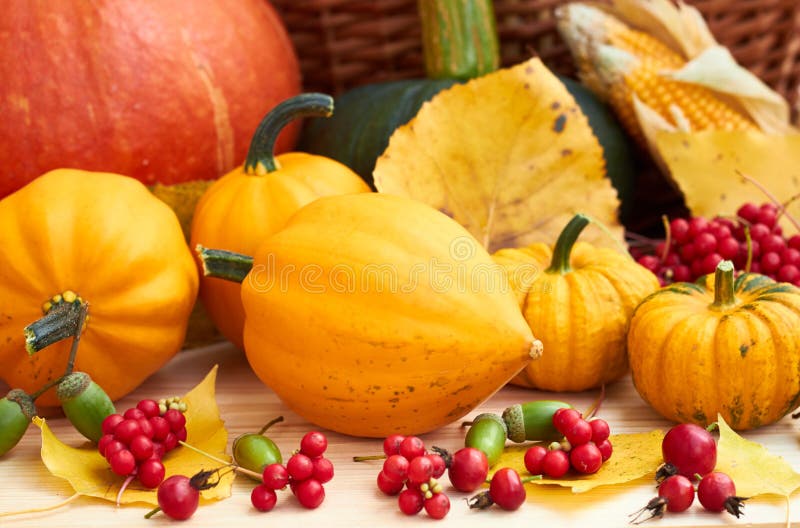 Pumpkins, Berries, Fallen Leaves, Corn, Acorn on Wooden Background ...