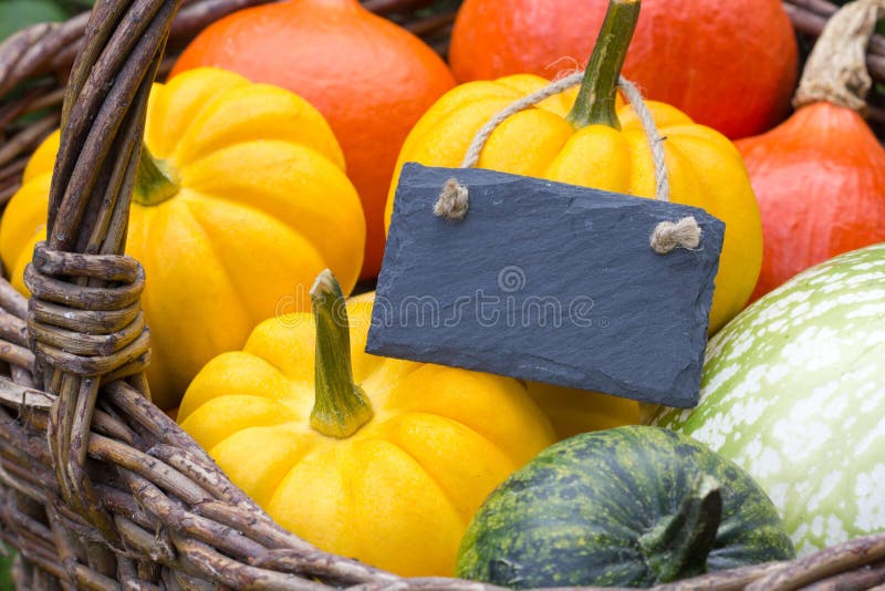 Pumpkins stock image