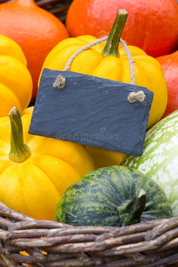 Pumpkins royalty free stock images