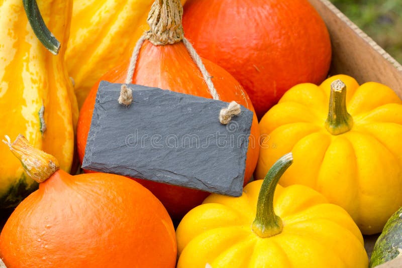 Pumpkins royalty free stock photo