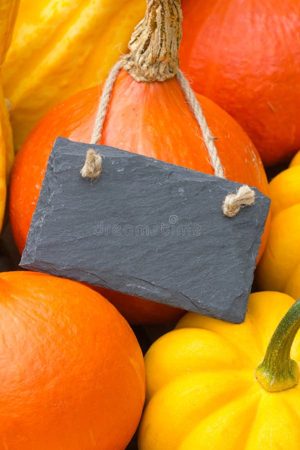 Pumpkins stock images