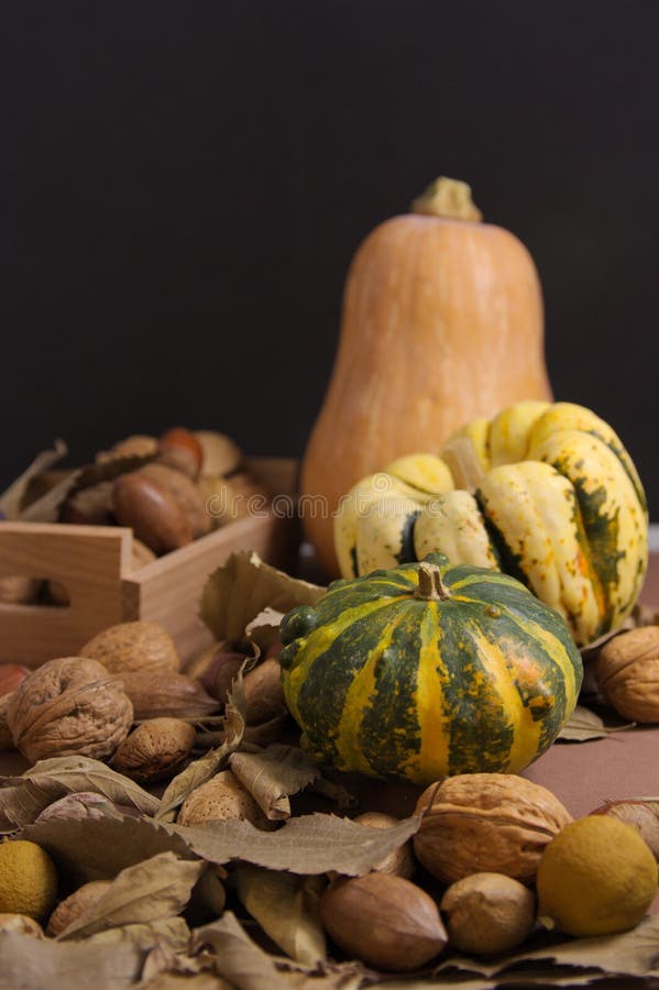 Still life with pumpkins of different varieties, nuts, acorns and some leaves that mark the autumn season. All on dark background with dark food style, homemade, agriculture, snack, sweet, vintage, black, walnuts, text, eat, brown, pastry, copy, space, retro, traditional, organic, farm, concept, frame, vegetables, thanksgiving, holiday, rustic, squash, orange, fall, celebration, wooden, halloween, seasonal, decoration, natural, healthy, fresh, harvest, fruit, leaf, october, delicious. Still life with pumpkins of different varieties, nuts, acorns and some leaves that mark the autumn season. All on dark background with dark food style, homemade, agriculture, snack, sweet, vintage, black, walnuts, text, eat, brown, pastry, copy, space, retro, traditional, organic, farm, concept, frame, vegetables, thanksgiving, holiday, rustic, squash, orange, fall, celebration, wooden, halloween, seasonal, decoration, natural, healthy, fresh, harvest, fruit, leaf, october, delicious