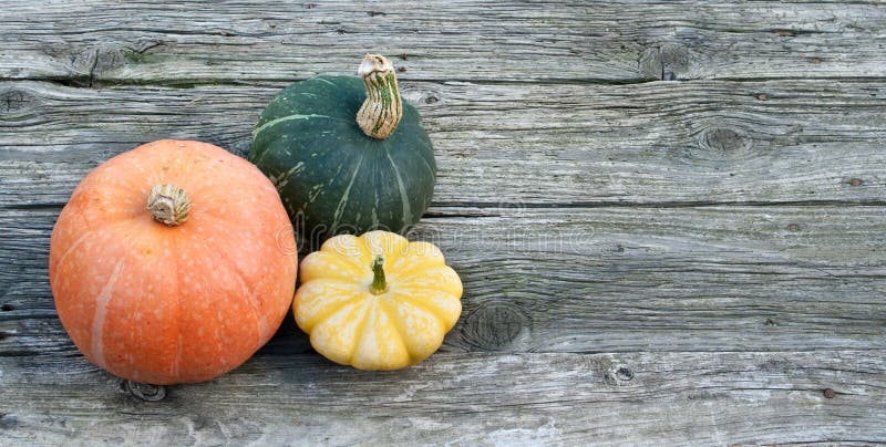 Pumpkins royalty free stock image