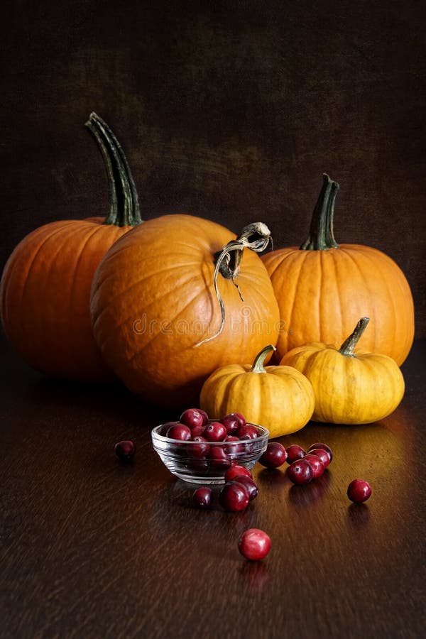 Pumpkins and gourds stock photo. Image of color, bold 1233950