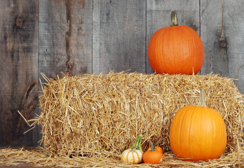 Pumpkins and gourds on straw