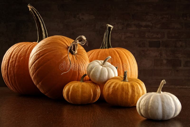 Pumpkins and gourds stock photo. Image of color, bold 1233950